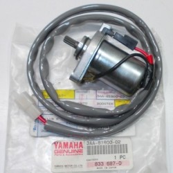 Yamaha 3AA 81800 02 booster...